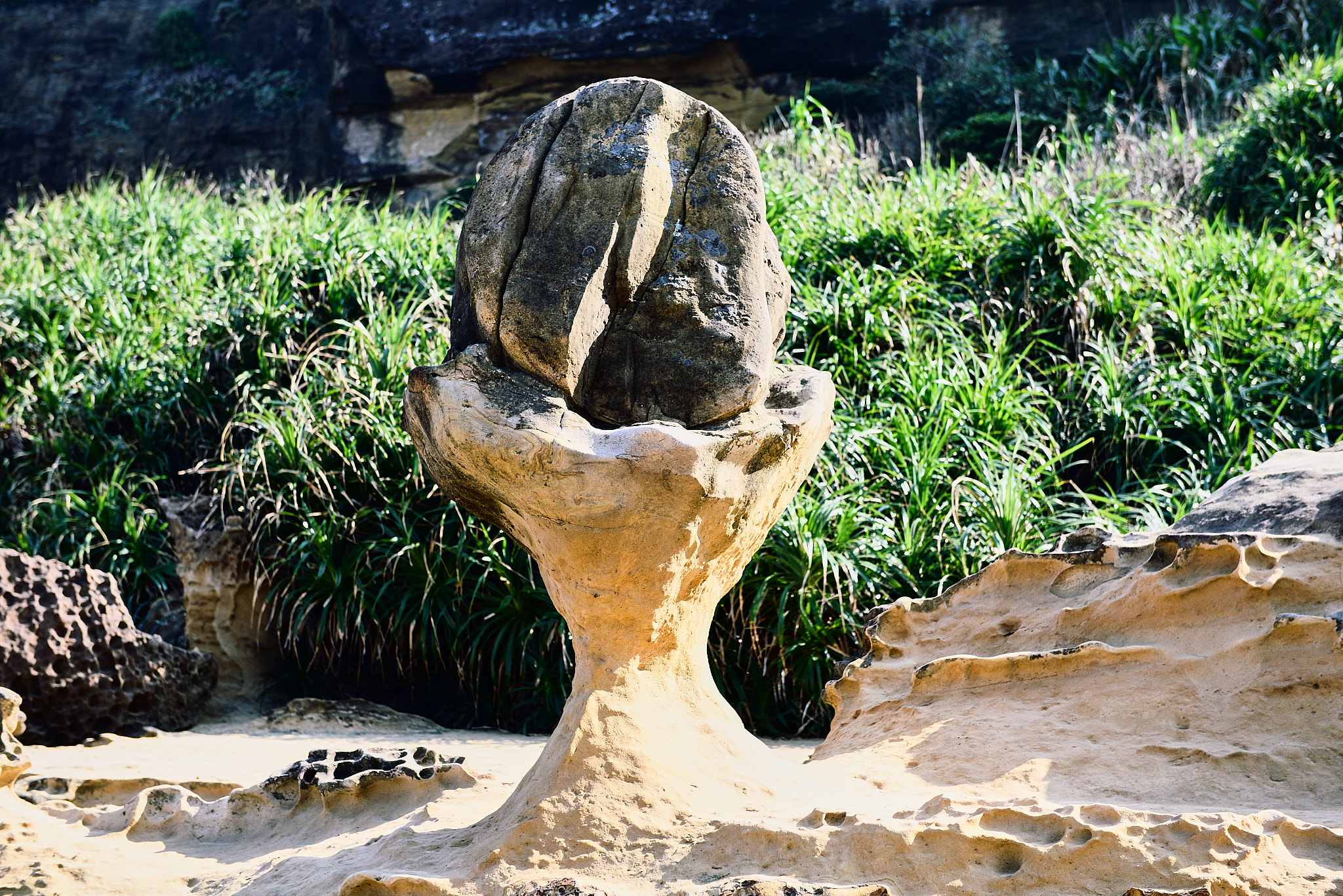 195 예류지질공원