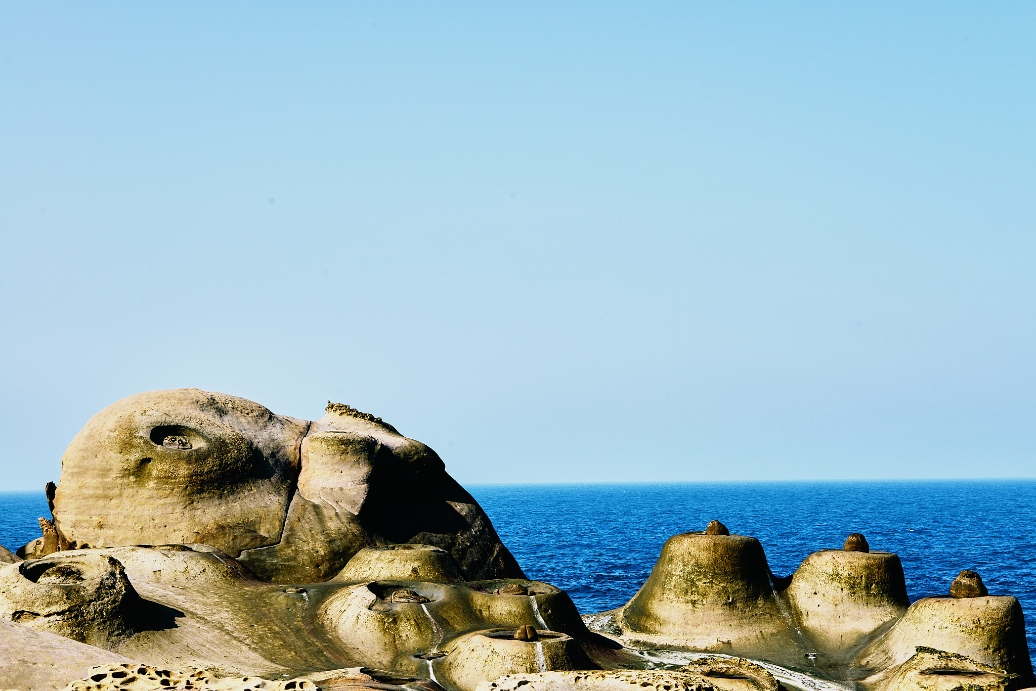 196 예류지질공원