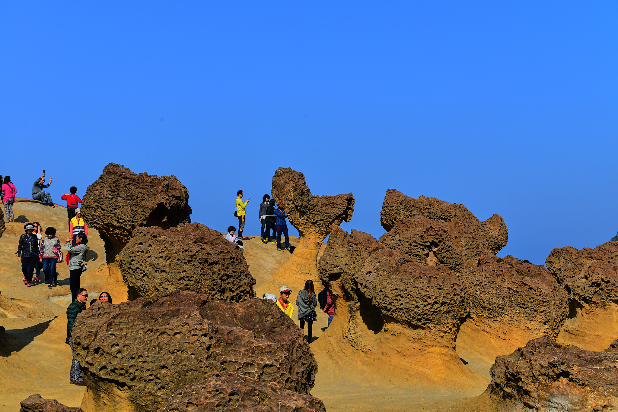 202 예류지질공원