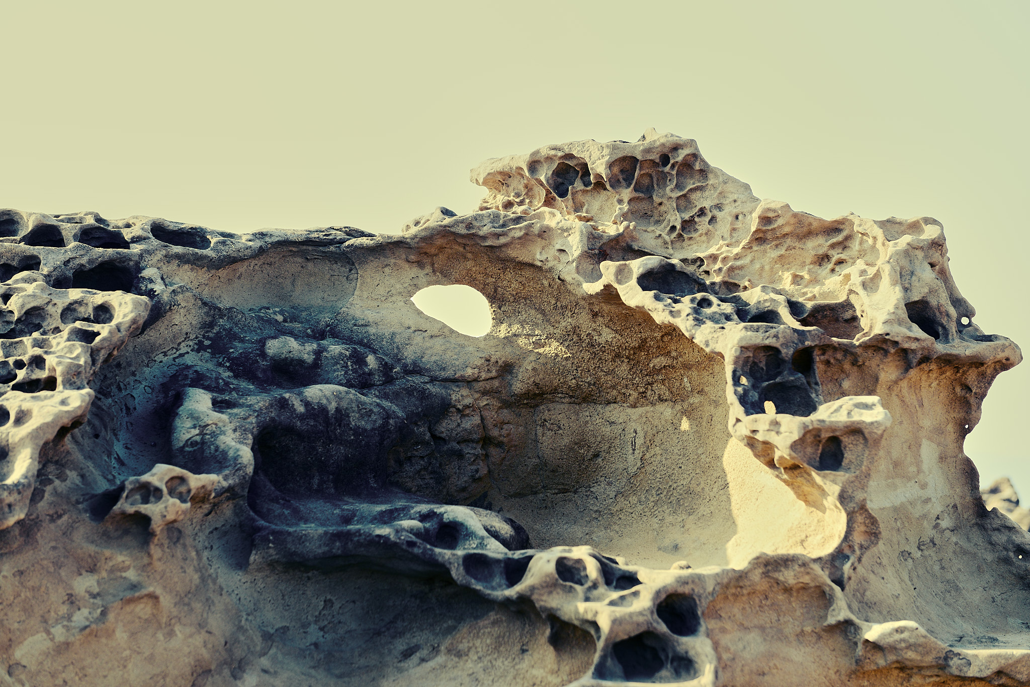 222 예류지질공원