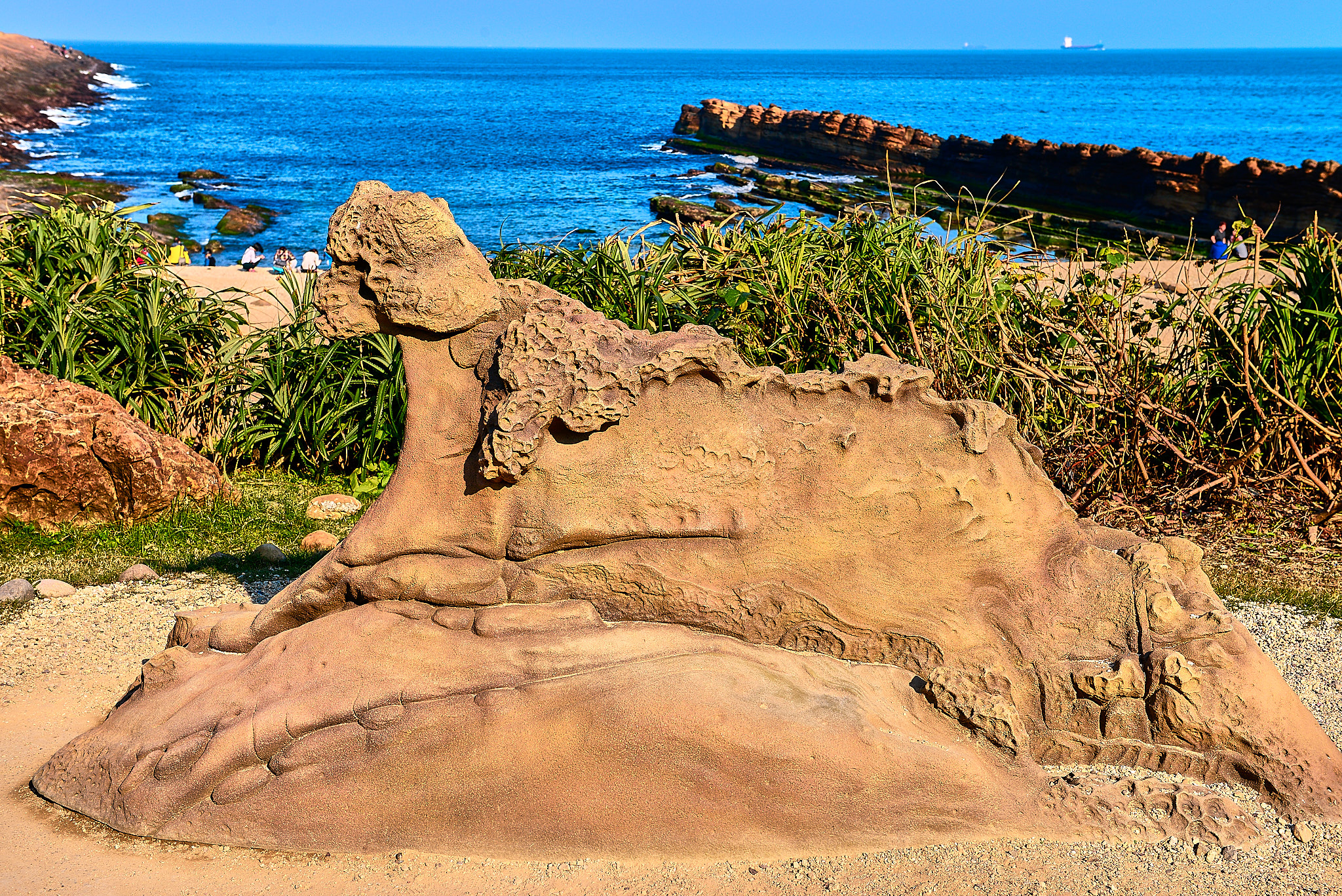 224 예류지질공원