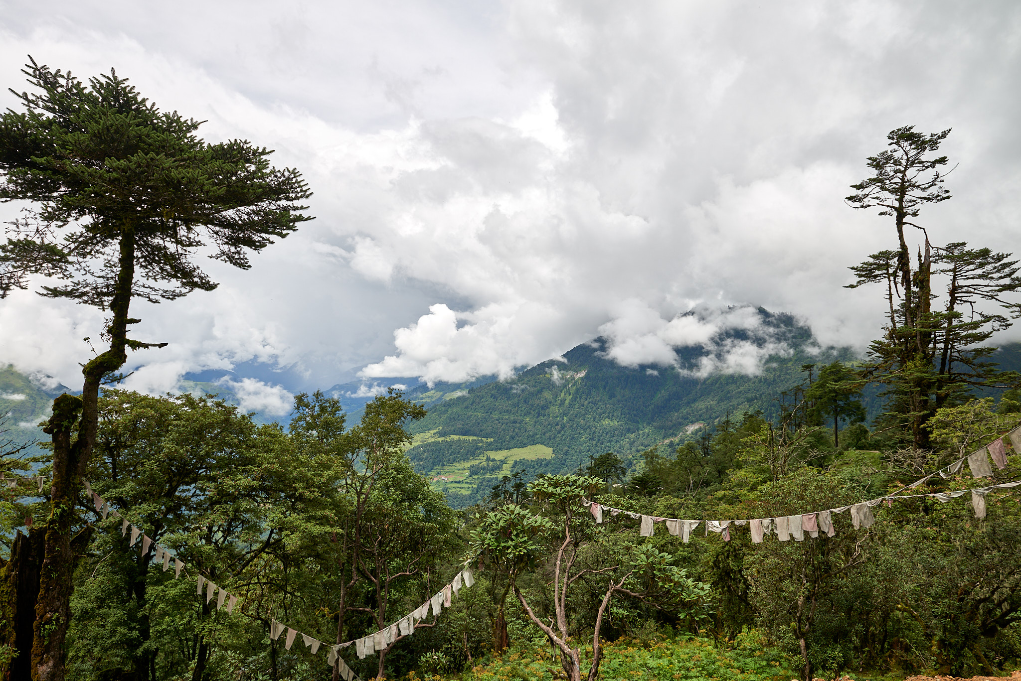 20170806 111 Gangtey